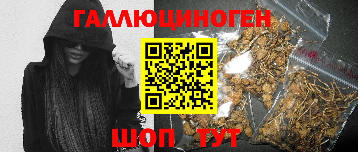 Псилоцибиновые грибы мухоморы  Псилоцибиновые грибы мухоморы  Вход с VPN  Сочи 